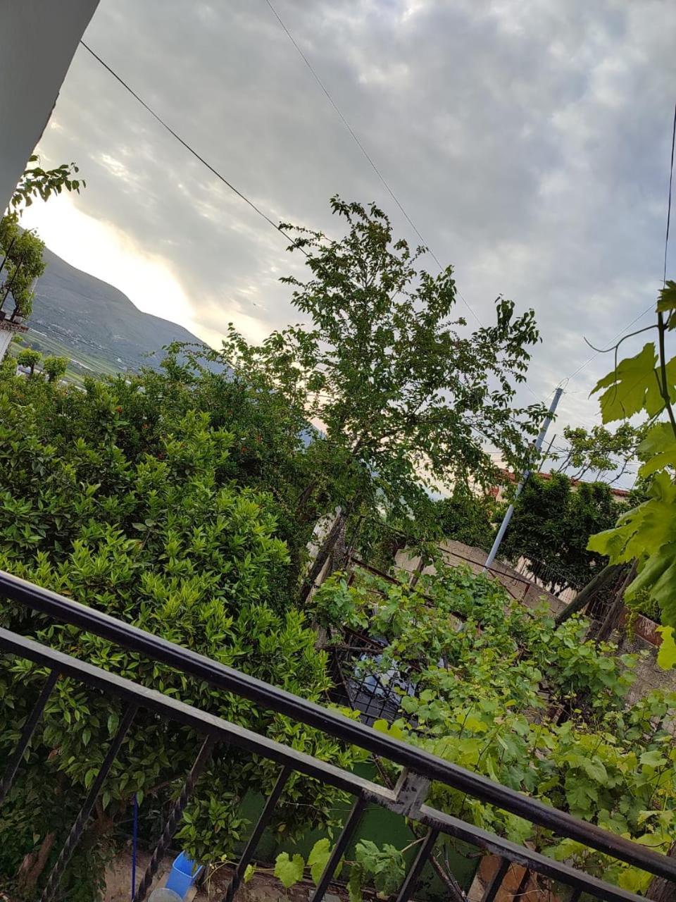 Guest House Eloid Μπεράτ Εξωτερικό φωτογραφία