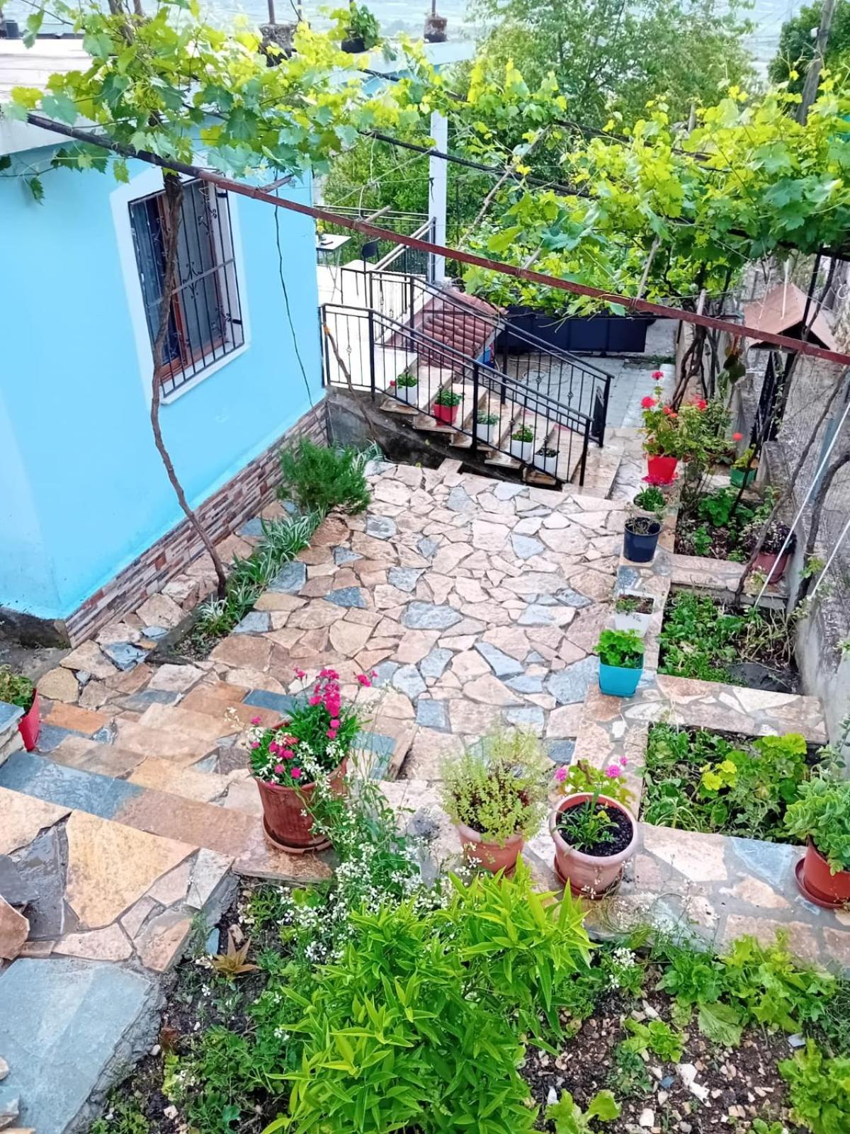 Guest House Eloid Μπεράτ Εξωτερικό φωτογραφία
